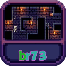 br73